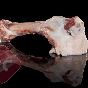 FEMUR BONE WITH KNEE CAP