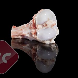 frozen split femur bone wholesale